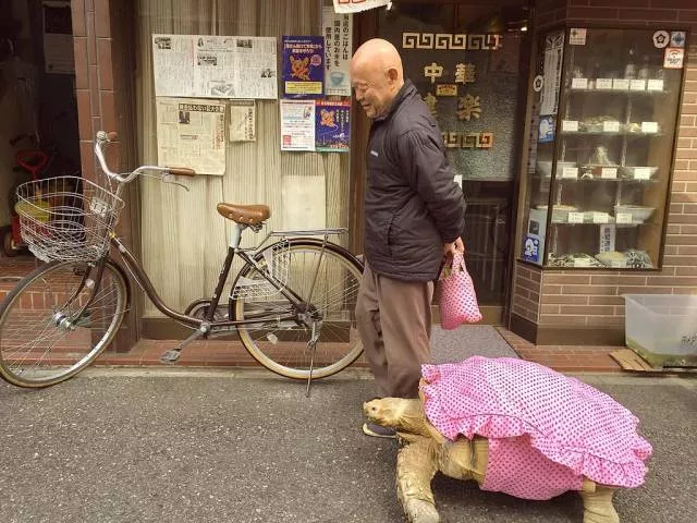 Picdump 168 - #11 