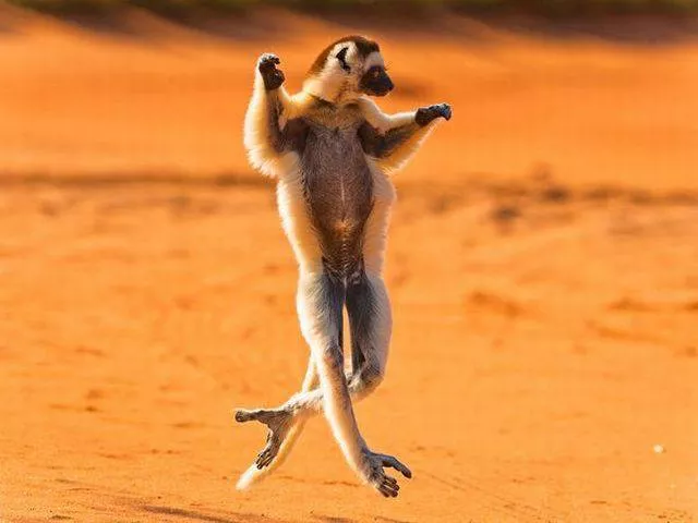 Picdump 168 - #13 