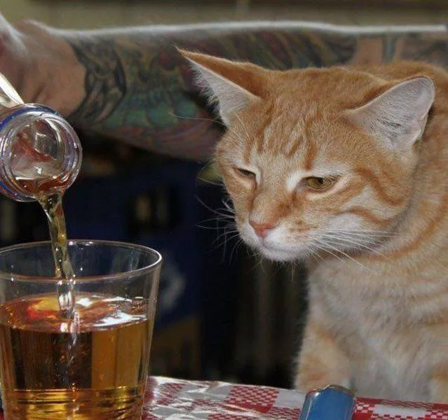 Picdump 168 - #35 