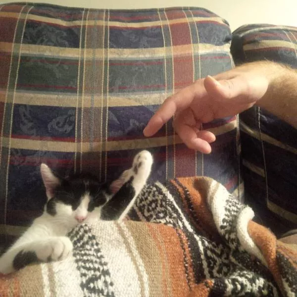 Picdump 168 - #43 