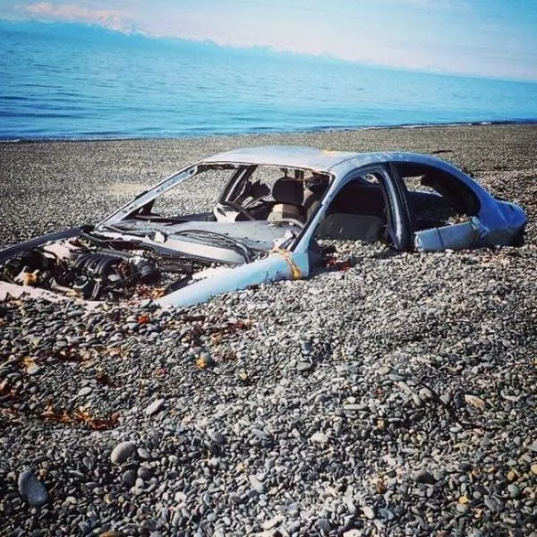 Various strange and interesting things found on the beach - #1 
