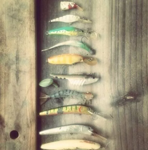 Various strange and interesting things found on the beach - #12 