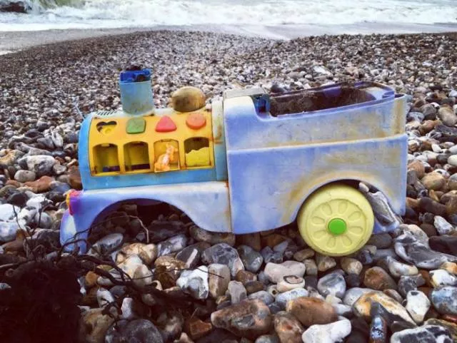 Various strange and interesting things found on the beach - #17 