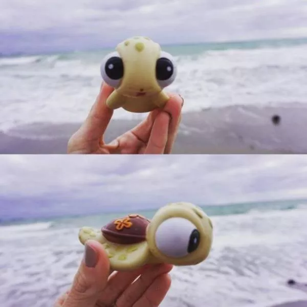Various strange and interesting things found on the beach - #18 