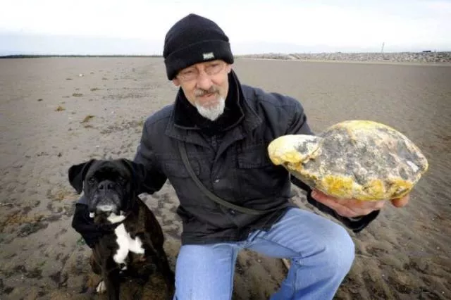 Various strange and interesting things found on the beach - #19 