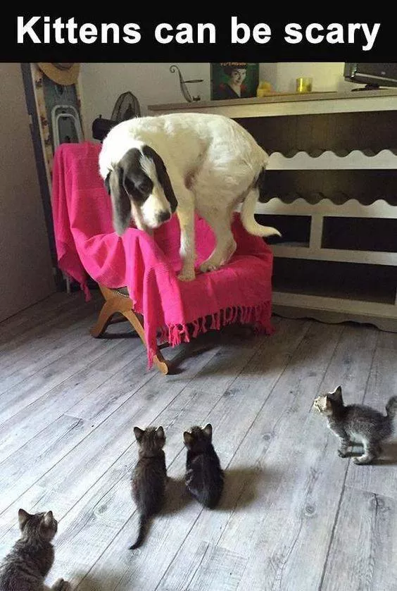 Picdump 169 - #4 