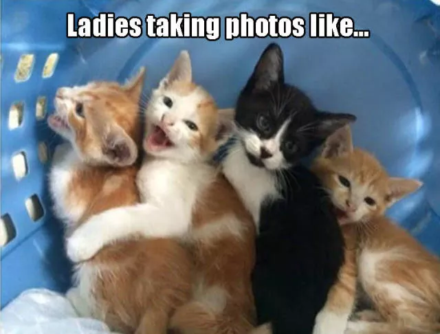 Picdump 170 - #52 