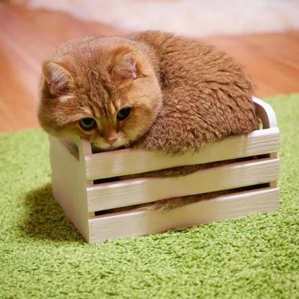 Picdump 171 - #11 