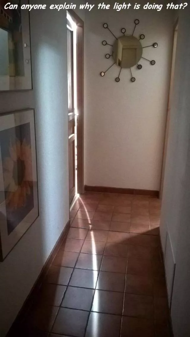 Picdump 172 - #15 