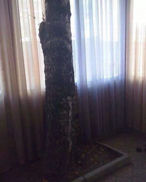 Picdump 172 - #45 