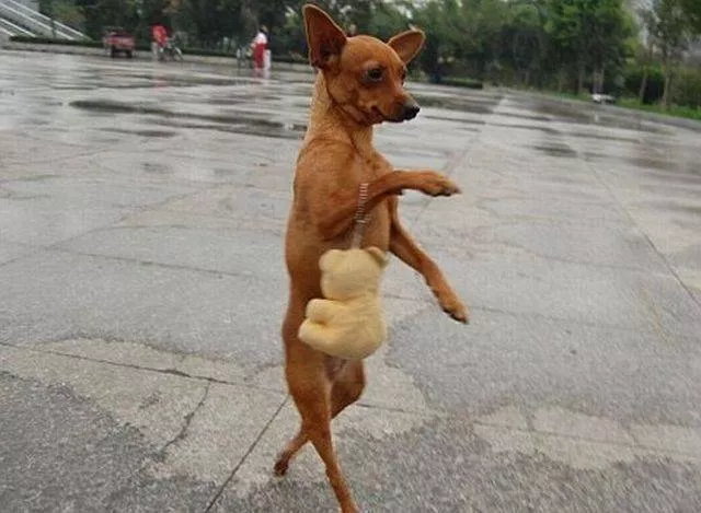Picdump 172 - #47 