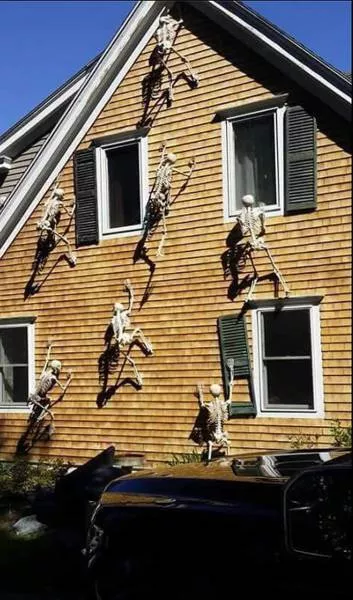 Picdump 172 - #52 