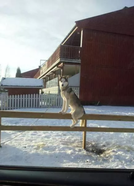 Picdump 172 - #69 