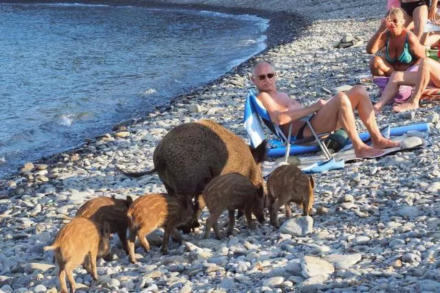 Picdump 172 - #8 