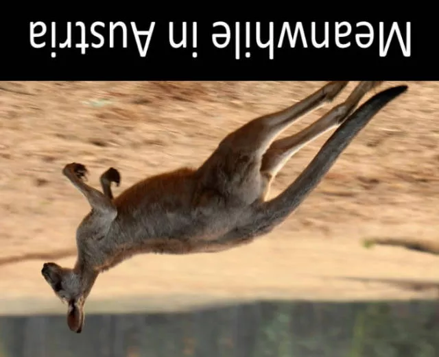 Picdump 173 - #35 