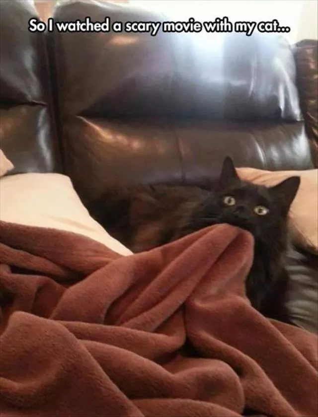 Picdump 173 - #8 