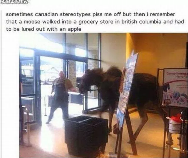 Picdump 174 - #19 