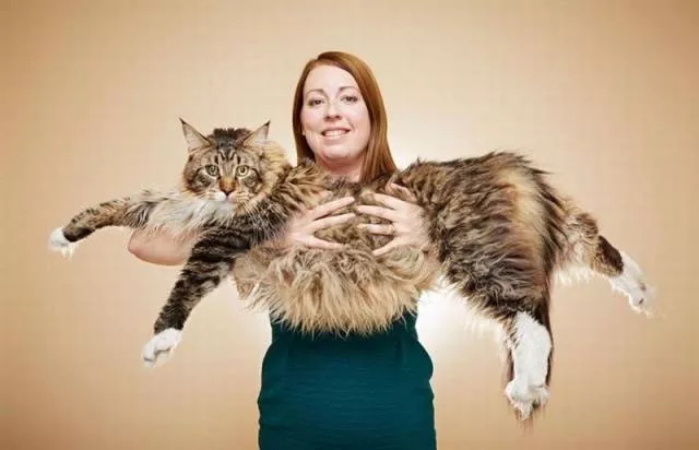 Picdump 174 - #20 