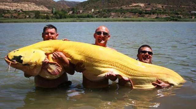 Picdump 174 - #30 