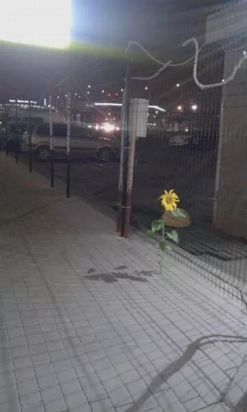 Picdump 174 - #32 