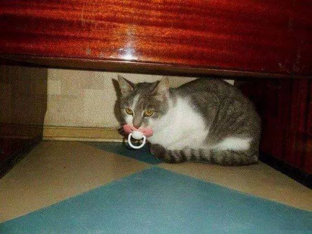 Picdump 174 - #51 