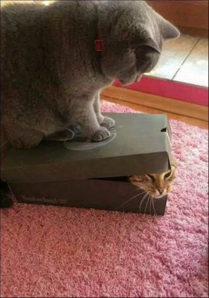 Picdump 174 - #66 