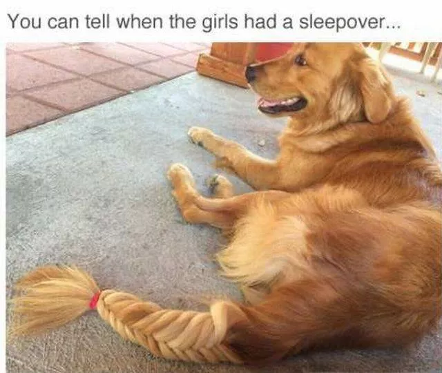 Picdump 174 - #79 
