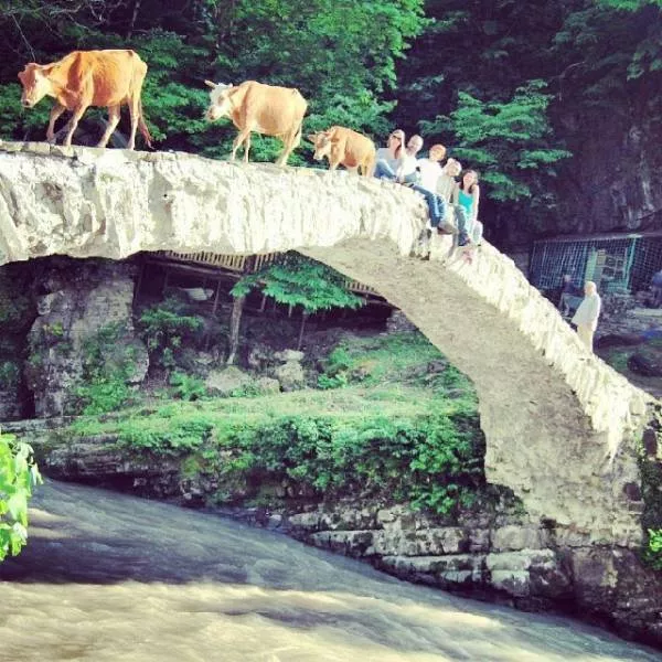 Awesome real pictures - #10 