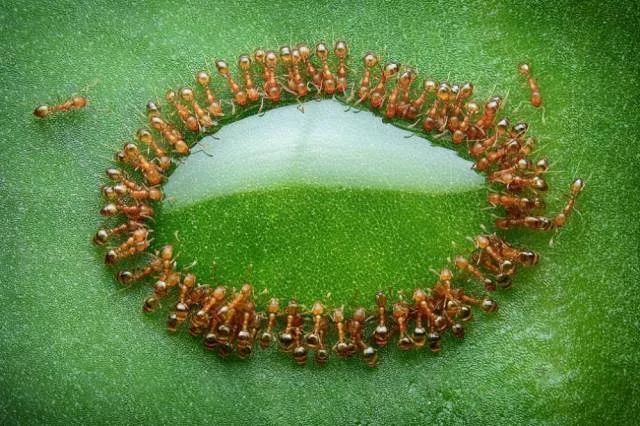 Awesome real pictures - #14 