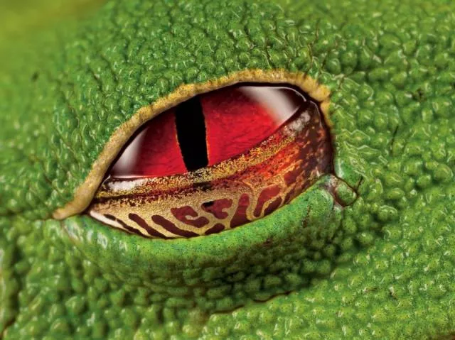 Awesome real pictures - #23 Awesome real pictures - #23