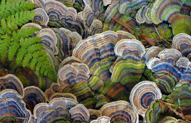 Awesome real pictures - #4 