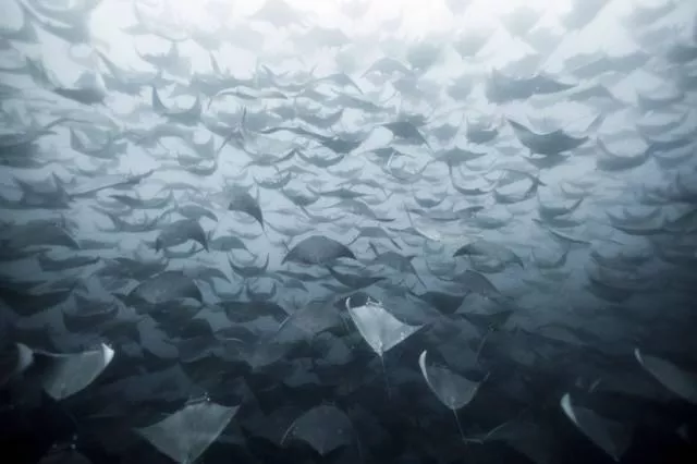 Awesome real pictures - #40 Awesome real pictures - #40