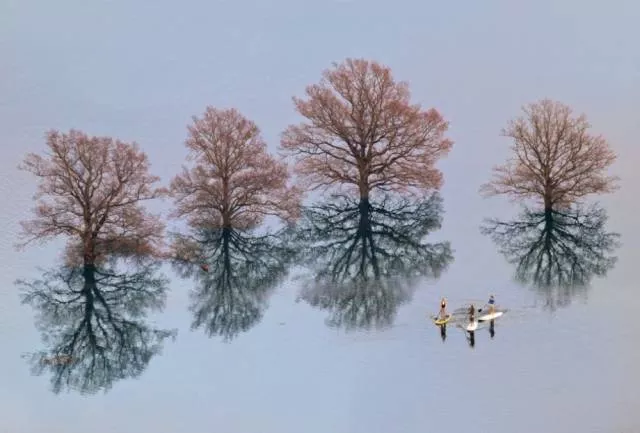 Awesome real pictures - #42 