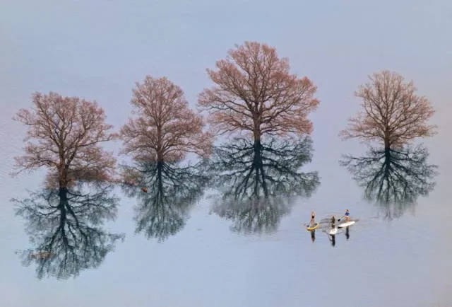 Awesome real pictures - #45 