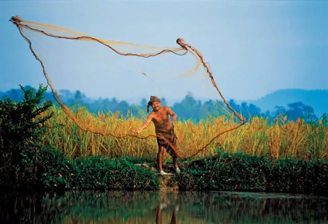 Awesome real pictures - #46 