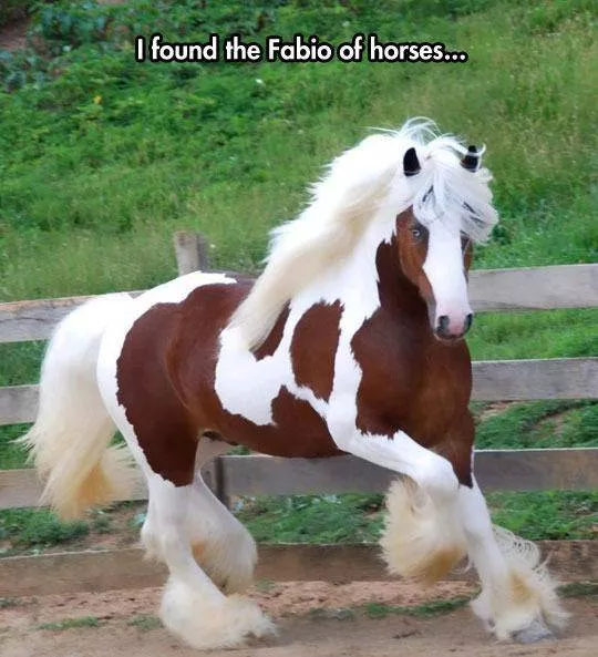 Things you dont see every day