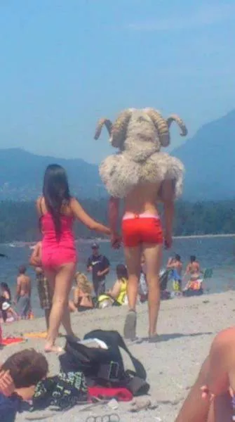 Things you dont see every day - #24 