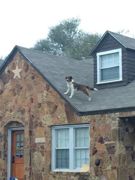 Things you dont see every day - #35 
