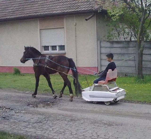 Things you dont see every day - #36 