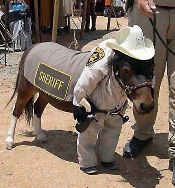 Things you dont see every day - #39 