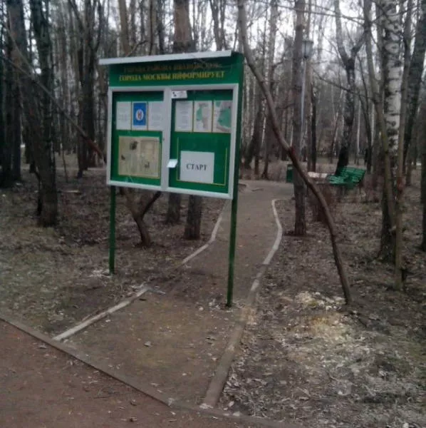 Welcome to russia madness in its pure form - #12 