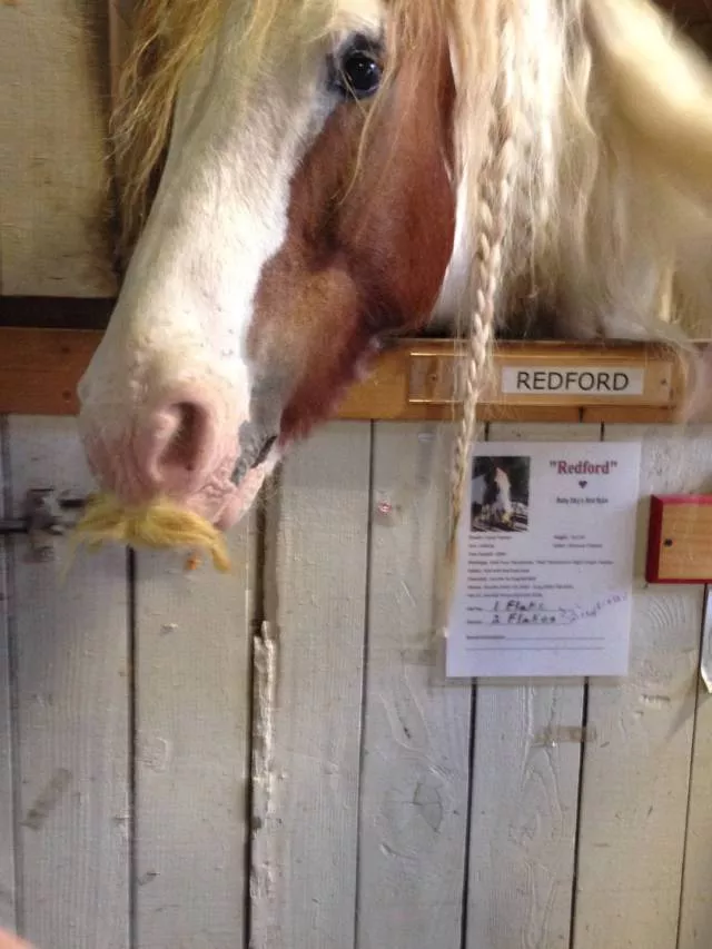 Picdump 176 - #34 