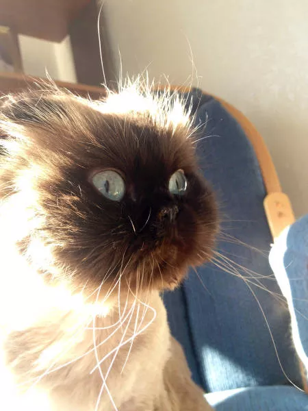 Picdump 176 - #39 