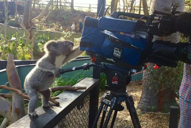 Picdump 176 - #45  Picdump 176 - #45