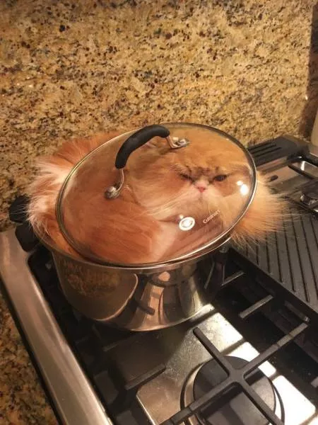 Picdump 177 - #3 