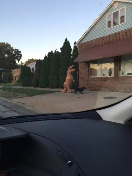 Picdump 177 - #50 