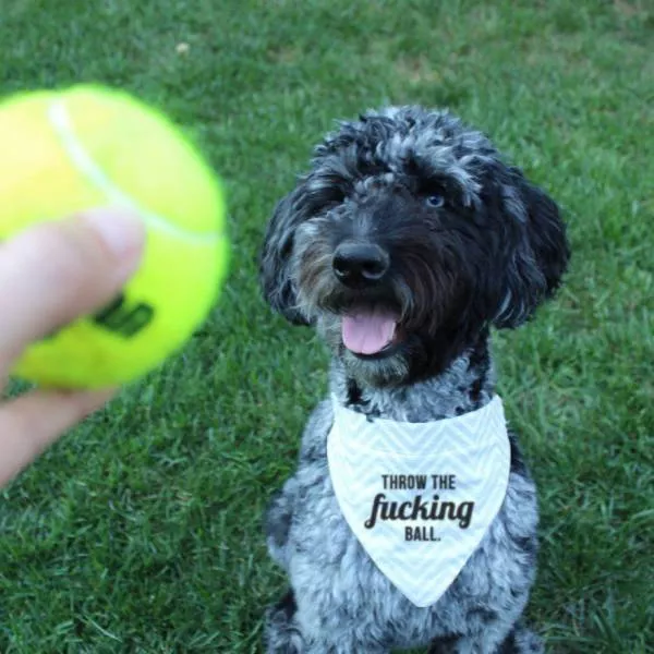 Picdump 177 - #56 