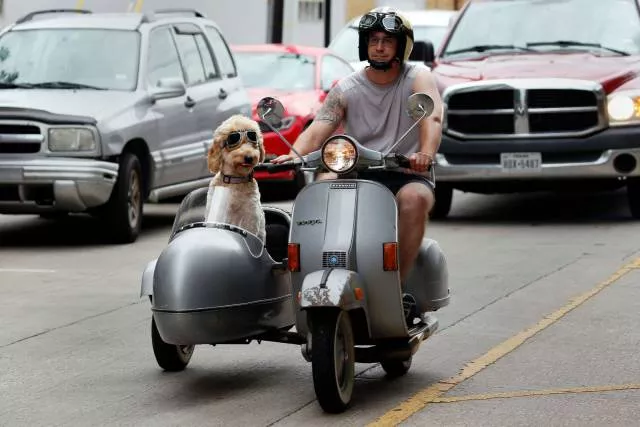 Picdump 178 - #1 