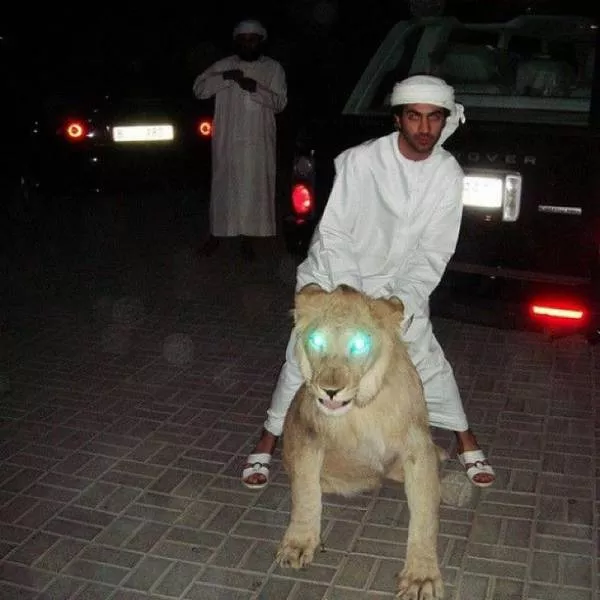 Picdump 178 - #11 