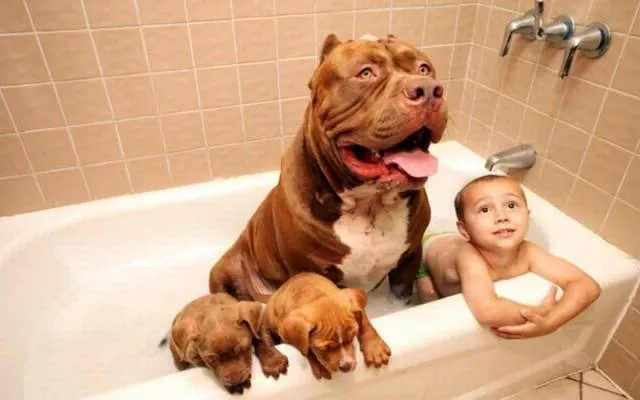 Picdump 178 - #13 